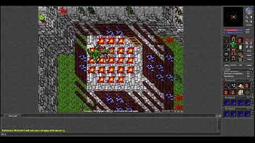 Old Tibia 7.11 - RPs & MS Solo Dragon (Calmera/Eternia 2003)