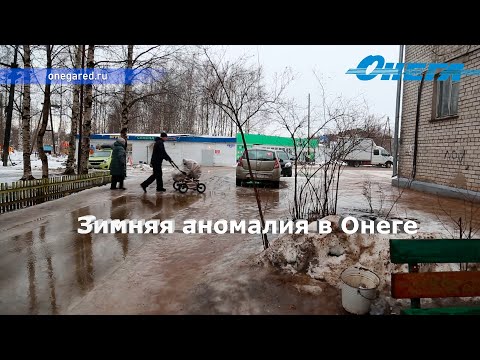 Зимняя аномалия в Онеге