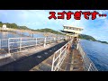 海釣り公園で100㎝超えの魚が釣れだしたと聞いたので…