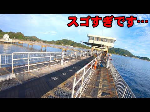 海釣り公園で100㎝超えの魚が釣れだしたと聞いたので…