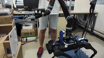 Dynamic Object Grasping Framework of Quadruped Manipulator based on Spherical Projection Model