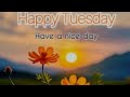 Good morning tuesday images !! Best good morning flowers images