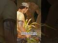 Left 4 Dead 2 - Random Facts🧟♂️ (PART 56) #shorts #l4d