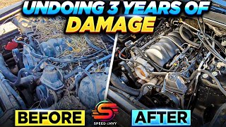 Undoing 3 Years of Damage