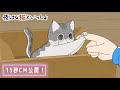 アニメ『夜は猫といっしょ』15秒CM【8/3(水)より放送&配信スタート!】