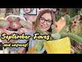 My Favorite and Least Favorite Plants in September | Monthly Plant Favorites and Unfavorites 2025