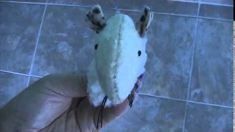 SmartyKat MadcapMouse Catnip Toy