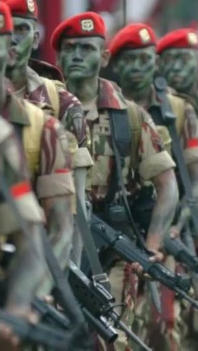 story wa tni kopassus #2