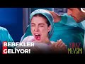 Öykü ve Ayaz'ın İkizleri Oldu - Kiraz Mevsimi 59. Bölüm (FİNAL)