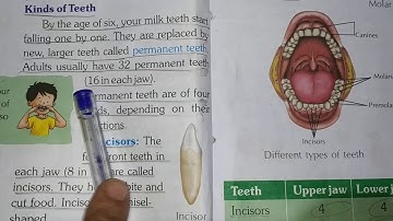 Class-4, Subject-Science, Video-43, Lesson -2 (The Teeth), Part-1  By-Mrs Varsha
