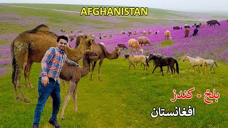 Tour in Afghanistan | Balkh to Kunduz | له بلخ تر کندوز