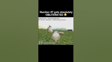 crazy cattle 3d - one of my best ireland clips ❤️‍🩹