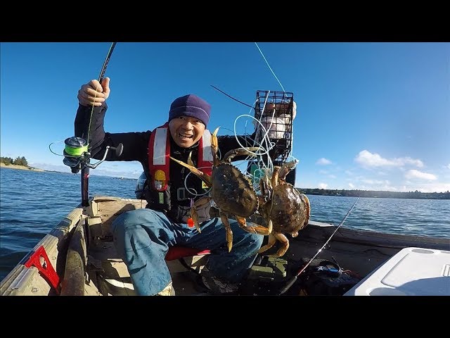 How to setup a crab snare and crab hawk to catch crab 