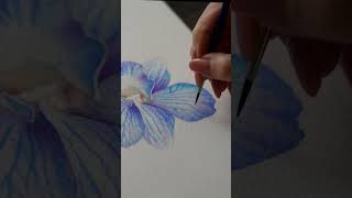 “Blue Orchid” 💙 Watercolor Étude
