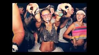 Otto Knows - Live @ Electric Zoo Festival 2014 NY (Full Set)