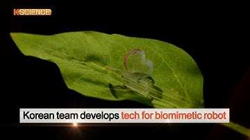 [K-SCIENCE] Chameleon-like Robots / YTN KOREAN