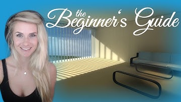 The Beginner
