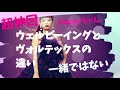 永久保存【ウェルビーイング と ヴォルテックスの違い】#htl #ハッピーちゃん #ウェルビーイング #ヴォルテックス #ボルテックス #happy理論 #スピリチュアル