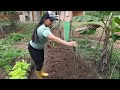 "Mira como siembro poroto" 💪🌱en mi huerto