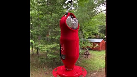 Recycle Hummingbird Feeder