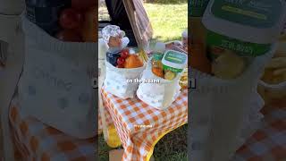 Freeze a Diaper for Camping! 🤯 Genius Cooling Hack That Actually Works