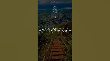 #قرآن كريم#قران كريم بصوت جميل#قران کریم🫀#قران صوت راحه نفسيه#﷽ القران الكريم#صوت قران يخشع القلوب