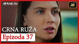 Crna Ruza - Epizoda 37