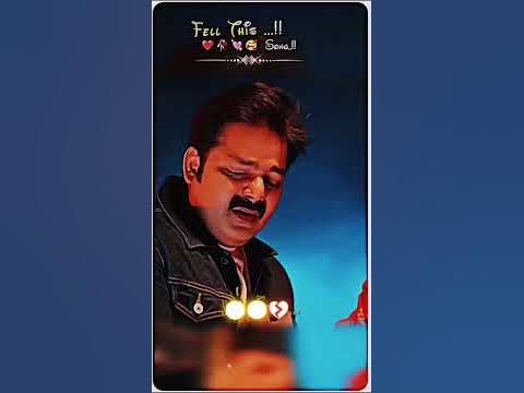 pawan singh ka holi video song