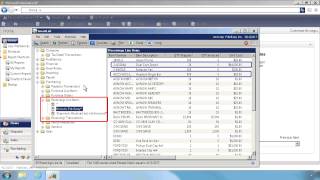 Comprehensive ERP Reporting Functionality