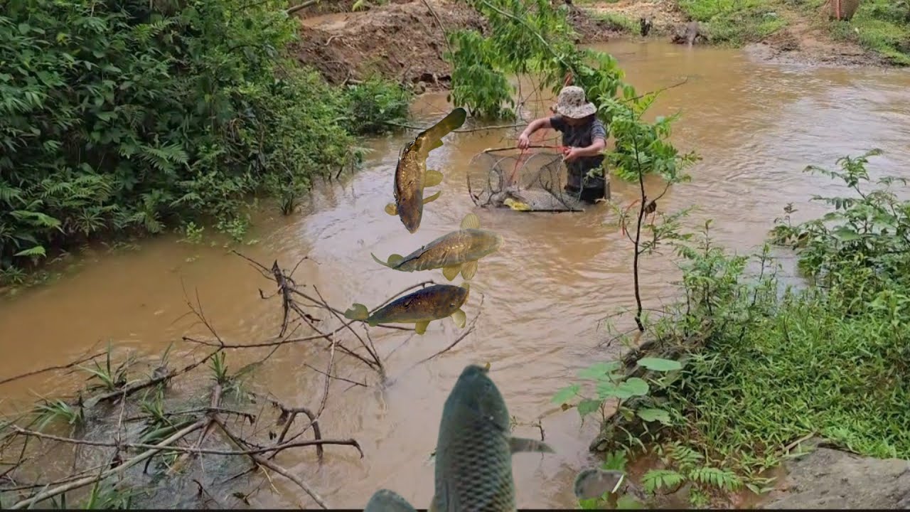 How to Set a Net - Soak for six hours The secret to catching giant fish ...