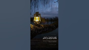 سورة يونس.         القارئ : عبدالله الموسى