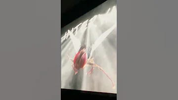 Eega Screening At Beyond Fest 2022 Los Angeles SS Rajamouli Vaaraahi Chalana Chitram 