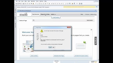 SAP Business One 8.8 - Demonstration of reporting