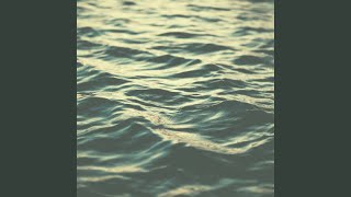Lively Perfect Meditations