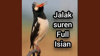 Download Lagu Sound the bird