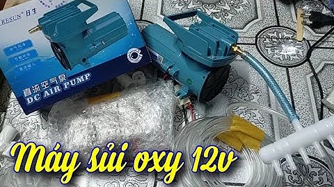 Máy sủi khí oxy cho bể cá, cho tôm, cá, hải sản...