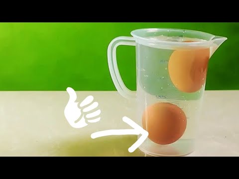 Video: Cara Mengidentifikasi Telur Yang Rusak
