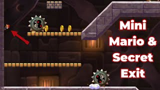 Rock Candy Mines-Tower Grinding-Stone Tower + Mini Mario & Secret Exit (All Star Coins) Super Mario screenshot 4