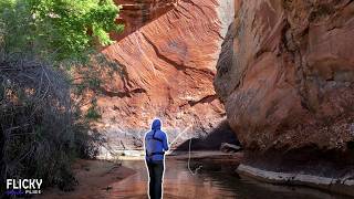 I Hiked Deep Into the Desert in Search of Rare Brown Trout