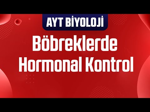 28) Proksimal ve