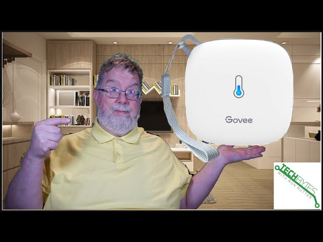 Should you use the Govee Thermometer in your Smarthome? 