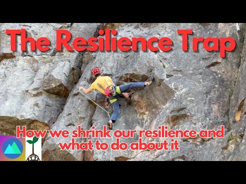 The Resilience Trap: The role of the nervous system, stress and how to thrive.