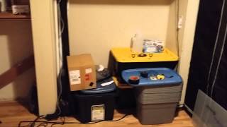 1000 watt DWC Gorilla Tent, T5 pre-vegetative tent, T5 mother area, & cloning station (pt.3)
