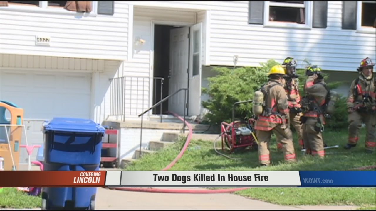Dogs Killed In House Fire - YouTube