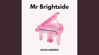 Mr Brightside (Piano Version - Instrumental)