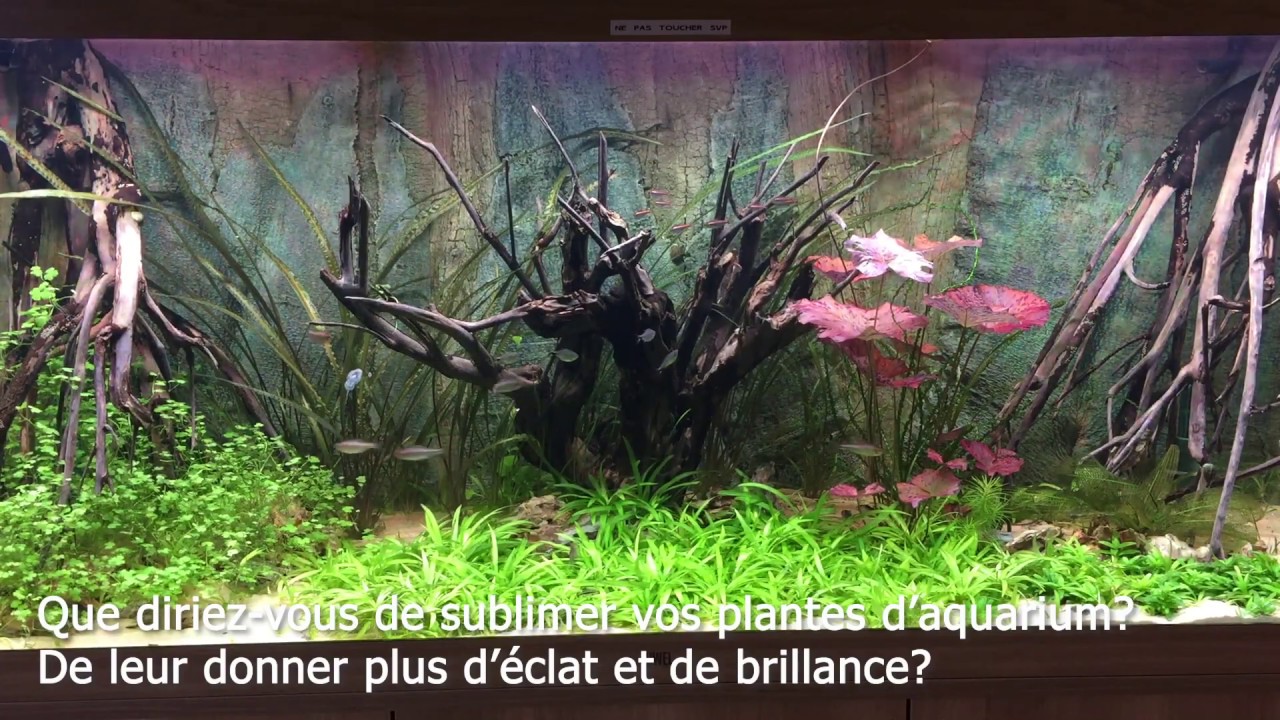 Juwel Hellialux Spectrum -  Vidéo de présentation produit