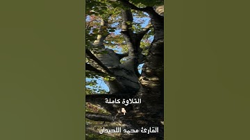 فجرية بترتيل يخشع لها القلب#القارئ_محمد_اللحيدان من  #سورة_هود