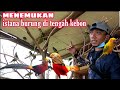 orang belum kenal mengajak saya masuk ke istana burung