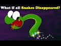 What if all Snakes Disappeared? | #aumsum #kids #science #education #children