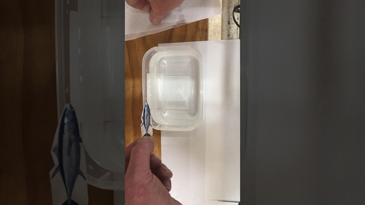 GR Waterslide Fish Decal Application